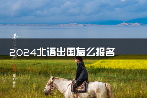2024北语出国怎么报名 容易上岸吗