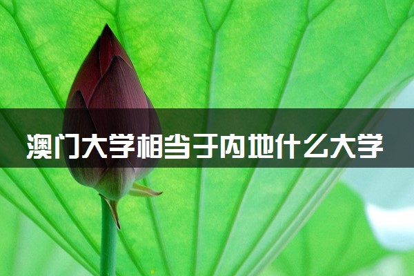 澳门大学相当于内地什么大学 实力如何
