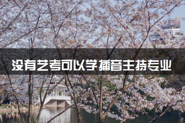 没有艺考可以学播音主持专业吗 如何准备考试