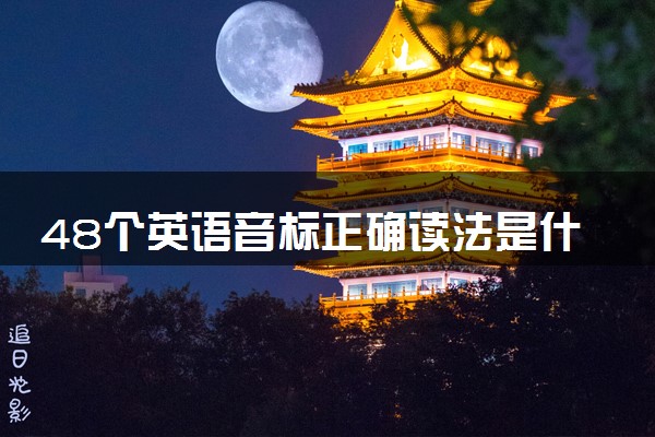 48个英语音标正确读法是什么 怎么发音