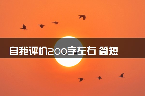 自我评价200字左右 简短大气优秀范文