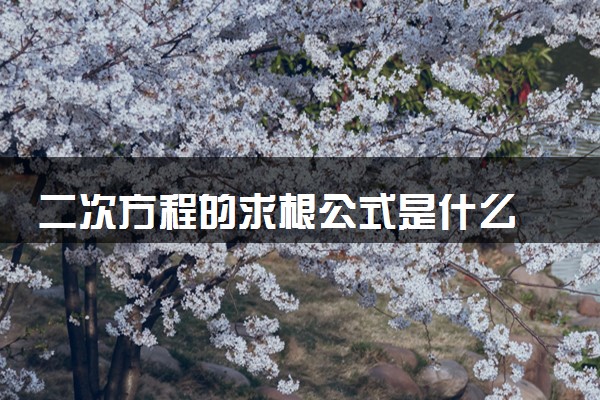 二次方程的求根公式是什么 是几年级学的