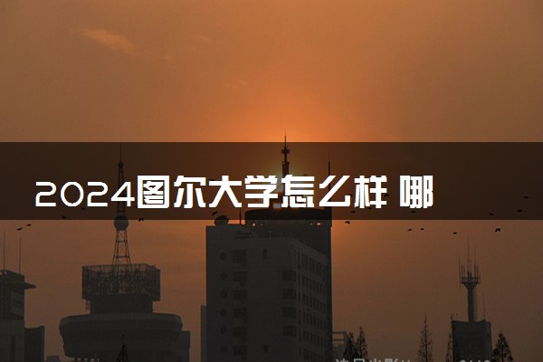 2024图尔大学怎么样 哪些专业值得选择