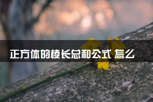 正方体的棱长总和公式 怎么计算的