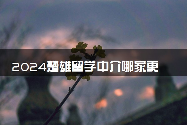 2024楚雄留学中介哪家更好 留学机构是否可靠