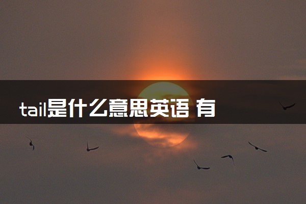 tail是什么意思英语 有哪些用法