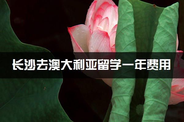 长沙去澳大利亚留学一年费用是多少钱