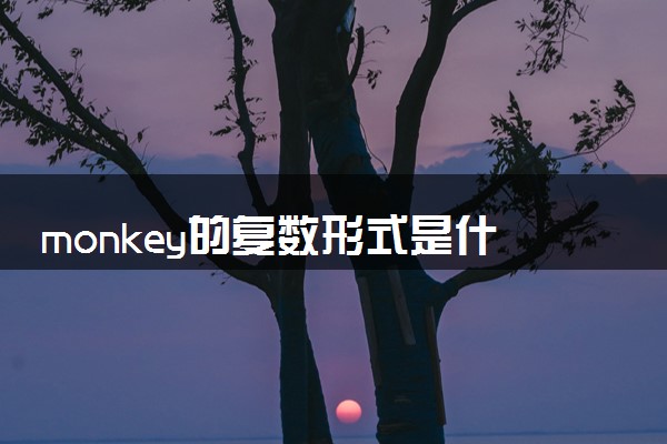 monkey的复数形式是什么 有哪些含义