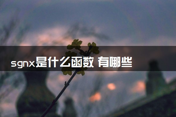 sgnx是什么函数 有哪些性质