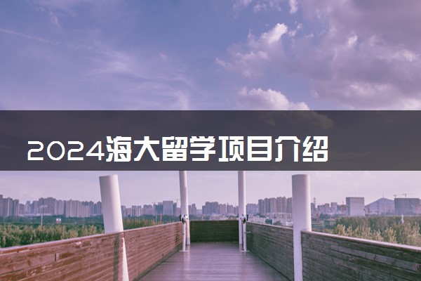 2024海大留学项目介绍 值得读吗
