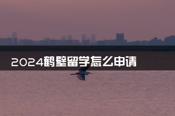 2024鹤壁留学怎么申请 需要准备哪些材料