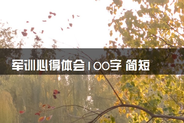 军训心得体会100字 简短感悟