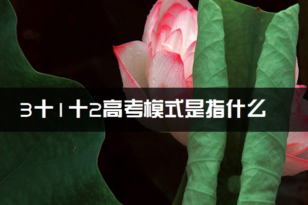 3十1十2高考模式是指什么 有哪些利弊