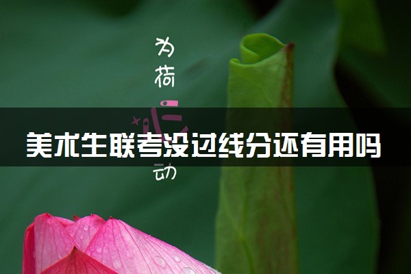 美术生联考没过线分还有用吗 有什么办法