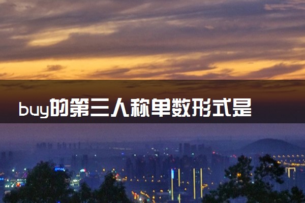 buy的第三人称单数形式是什么 有哪些含义