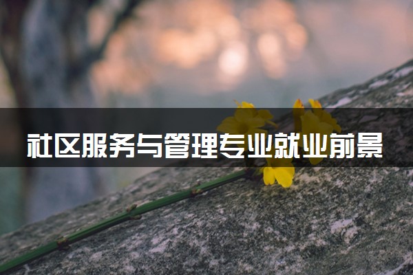 社区服务与管理专业就业前景怎么样 有哪些就业方向