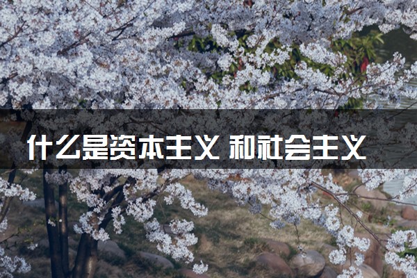什么是资本主义 和社会主义的区别是什么