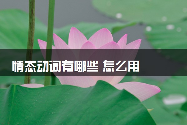 情态动词有哪些 怎么用