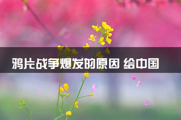 鸦片战争爆发的原因 给中国带来了什么影响