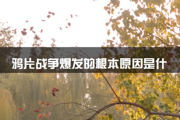 鸦片战争爆发的根本原因是什么 有哪些影响