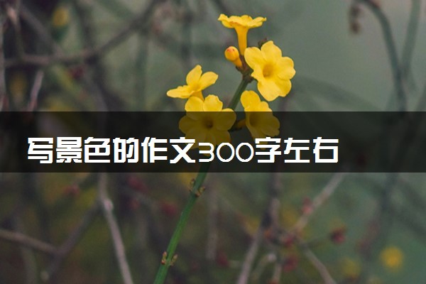 写景色的作文300字左右 好词好句积累