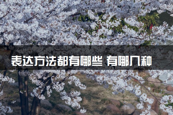 表达方法都有哪些 有哪几种
