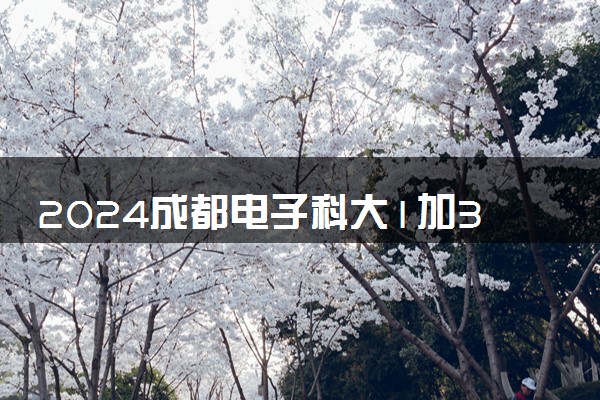 2024成都电子科大1加3项目怎么样 认可度高吗