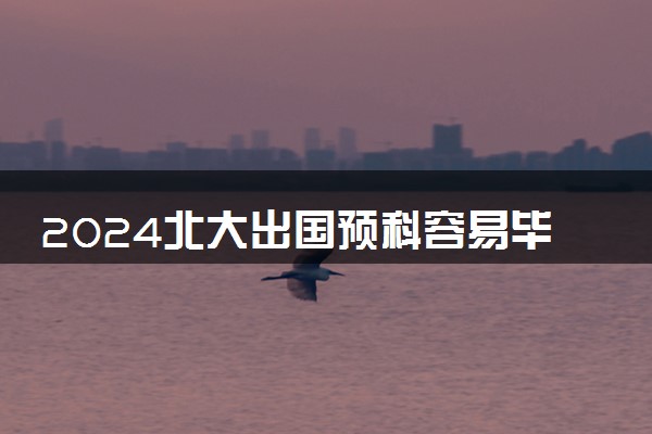 2024北大出国预科容易毕业吗 回国好找工作吗