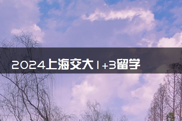 2024上海交大1+3留学英国的学校 去公立大学难度大吗