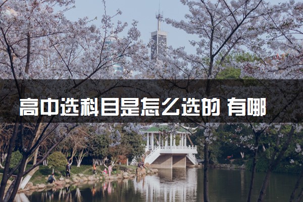高中选科目是怎么选的 有哪些最佳选科组合