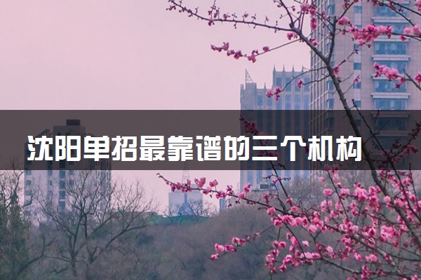 沈阳单招最靠谱的三个机构 哪些机构比较好