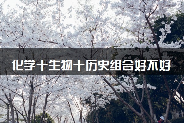 化学十生物十历史组合好不好 能选择哪些专业