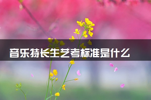 音乐特长生艺考标准是什么 如何准备考试