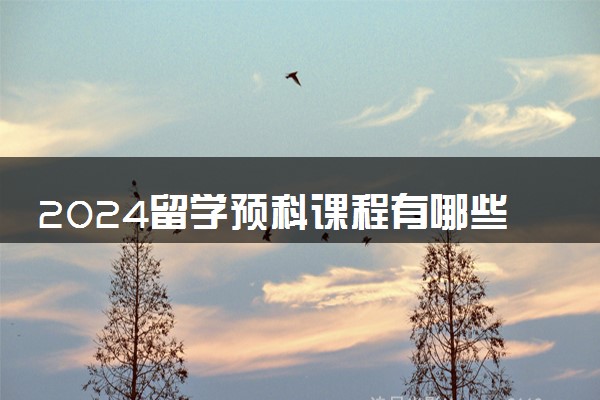 2024留学预科课程有哪些 怎么学比较好