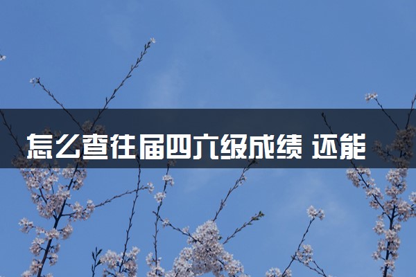 怎么查往届四六级成绩 还能查到吗