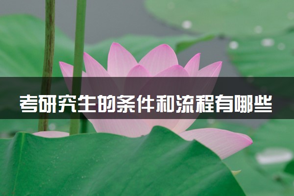 考研究生的条件和流程有哪些 如何备考