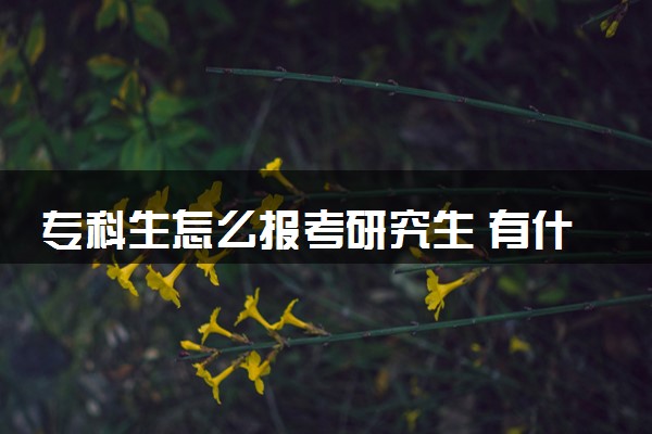专科生怎么报考研究生 有什么条件