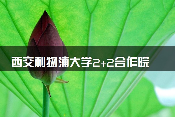 西交利物浦大学2+2合作院校蒙纳士大学排名