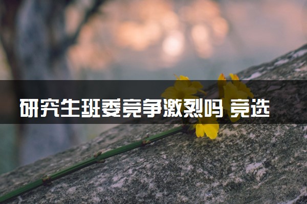 研究生班委竞争激烈吗 竞选班委有必要吗