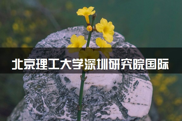 北京理工大学深圳研究院国际课程出国留学项目2024