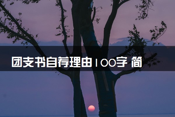 团支书自荐理由100字 简短发言稿整理