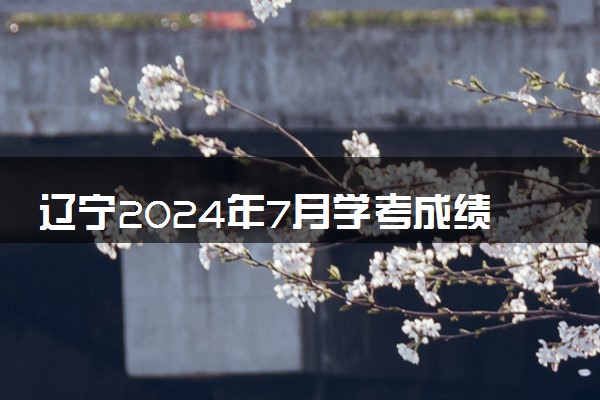 辽宁2024年7月学考成绩查询时间 有哪些方法