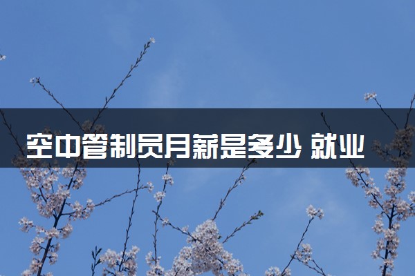 空中管制员月薪是多少 就业前景怎么样