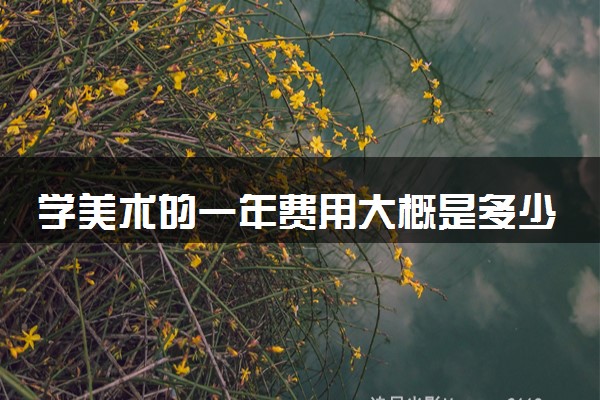 学美术的一年费用大概是多少 真的过万吗