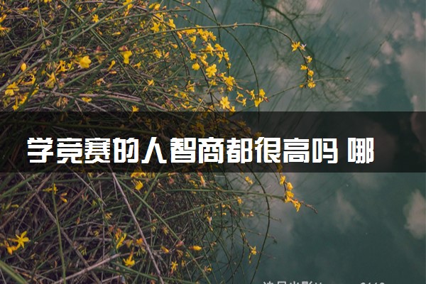 学竞赛的人智商都很高吗 哪些人适合参加竞赛