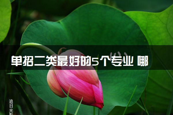 单招二类最好的5个专业 哪些专业有发展