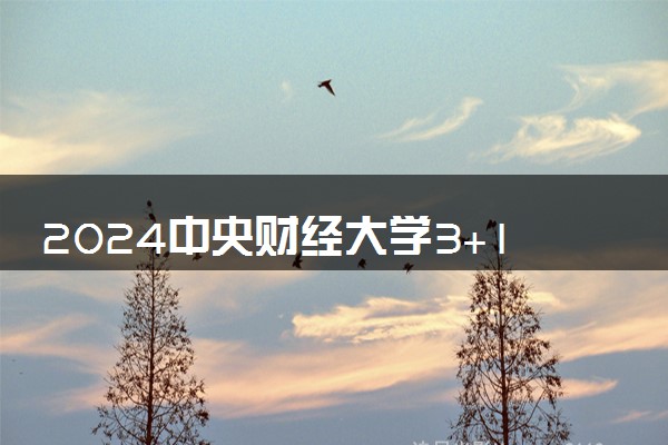 2024中央财经大学3+1项目可靠吗 是纯外教授课吗