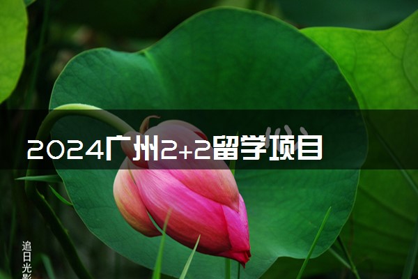 2024广州2+2留学项目大学有哪些 值得选择吗