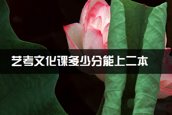 艺考文化课多少分能上二本 大概需要多少分
