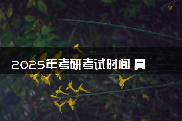 2025年考研考试时间 具体哪天考试